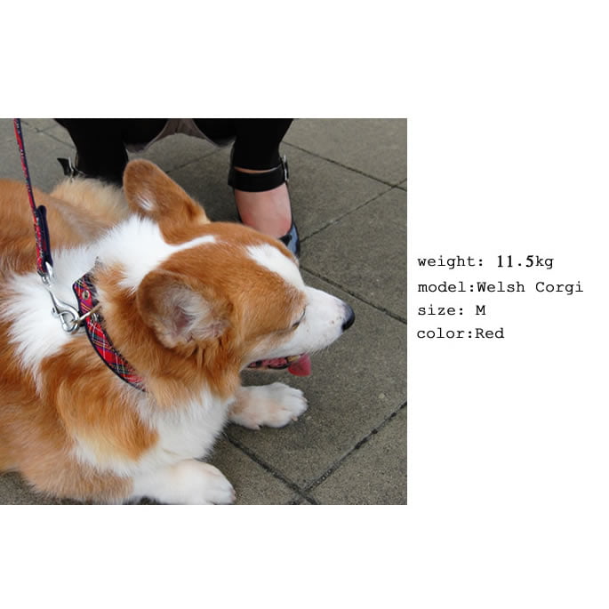 �淿���Ѽ��ء�ASHU���ȥ�åɡ����顼��M������