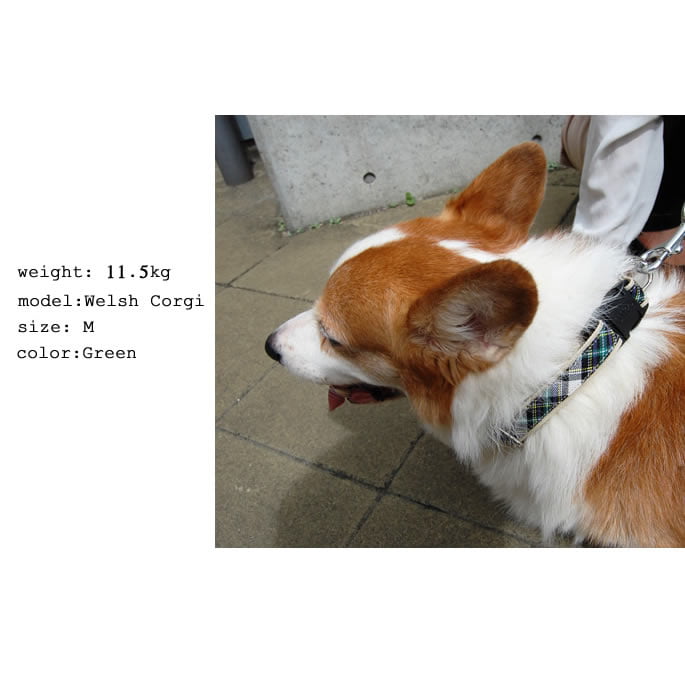 �淿���Ѽ��ء�ASHU���ȥ�åɡ����顼��M������