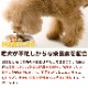 ڣΤ̤ͥ30OFF۸ ࡡϷʬȥ졼 󥶥Q10BCAAꡡ