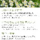 ץ졼åץ졼 ޥ 50mlեȥ饤󤬶ʻҤ