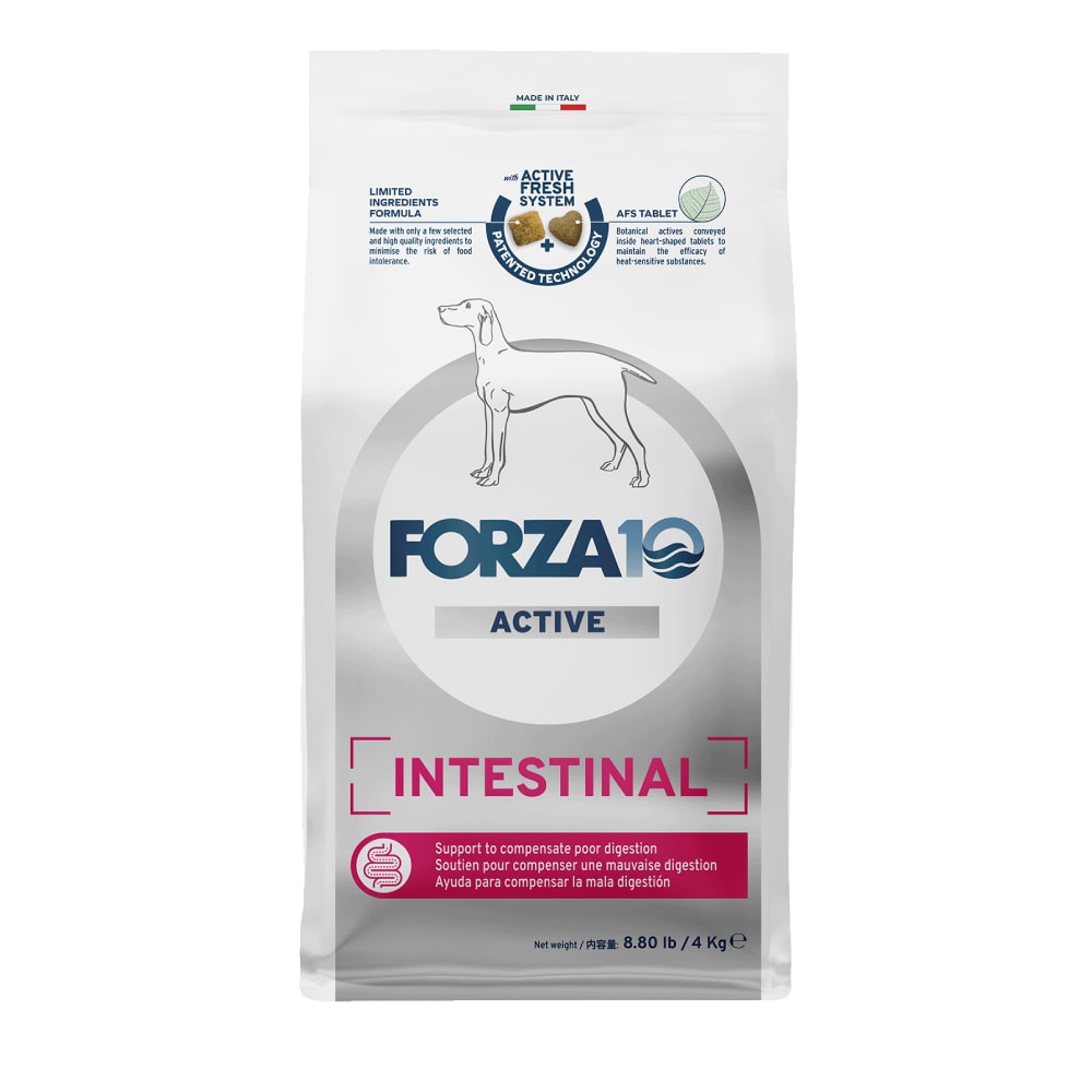 新品未使用 FORZA10（フォルツァ10） 愛犬用 デルモ アクティブ 犬 FORZA10療法食｜犬用 インテスティナルアクティブ(胃腸ケア) 250g