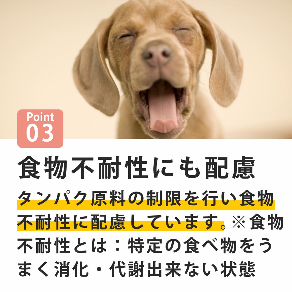 犬 FORZA10療法食｜犬用 インテスティナルアクティブ(胃腸ケア