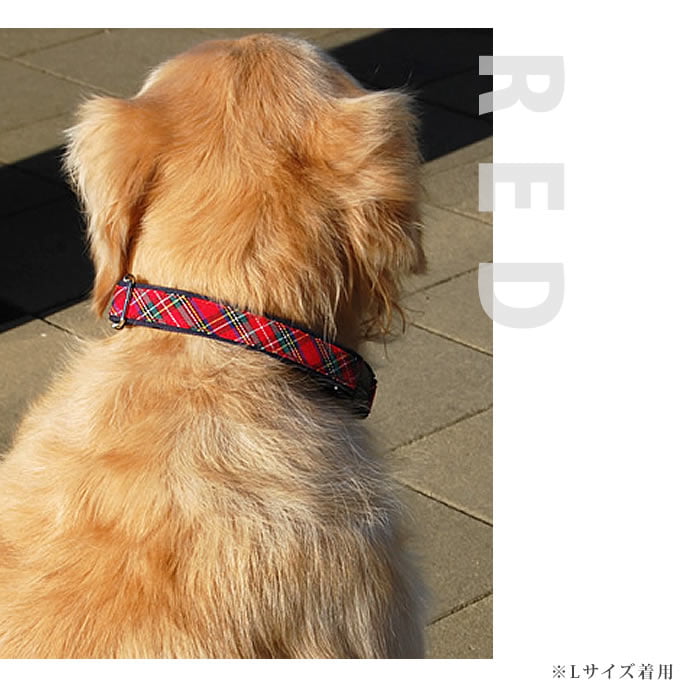 �緿���Ѽ��ء�ASHU���ȥ�åɡ����顼��L��������GR