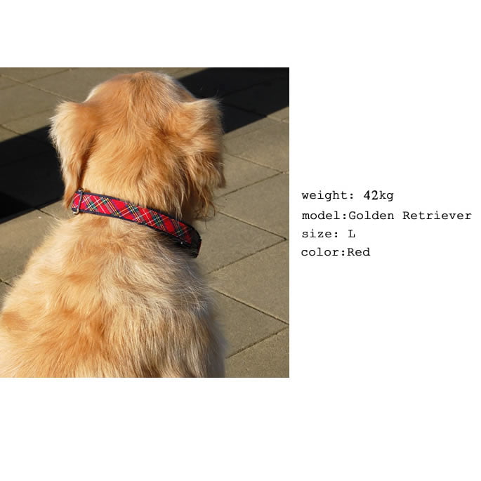 �緿���Ѽ��ء�ASHU���ȥ�åɡ����顼��L��������GR