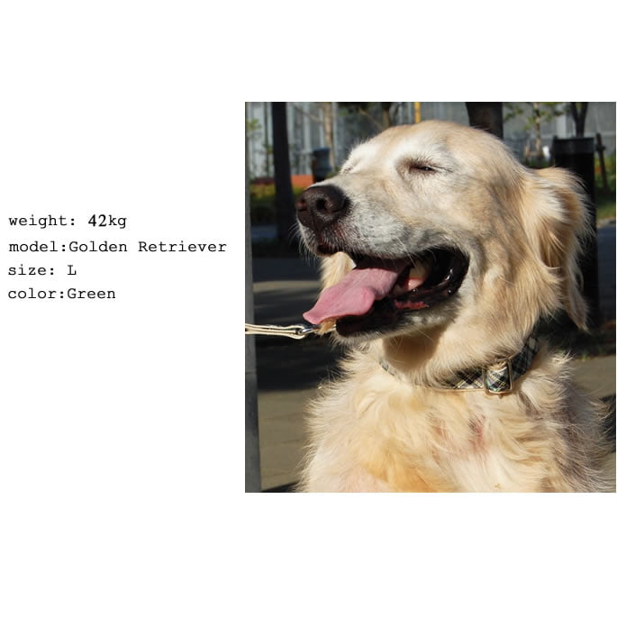 �緿���Ѽ��ء�ASHU���ȥ�åɡ����顼��L��������GR