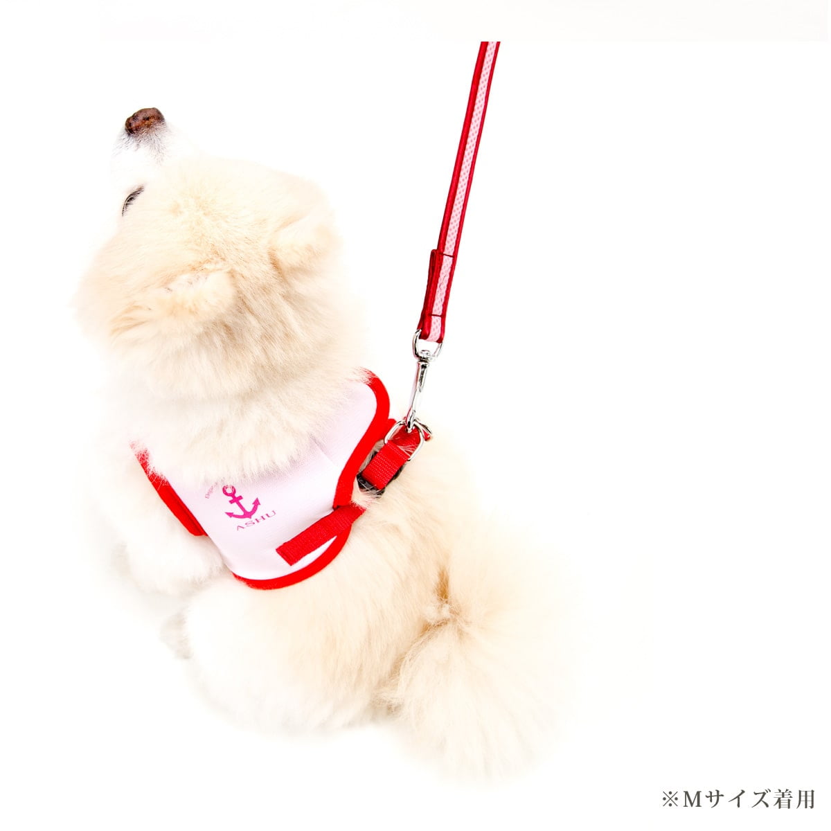 ���ѥϡ��ͥ����淿����ASHU��������󥰥������ϡ��ͥ���XL�������ڥ꡼�ɤ�������