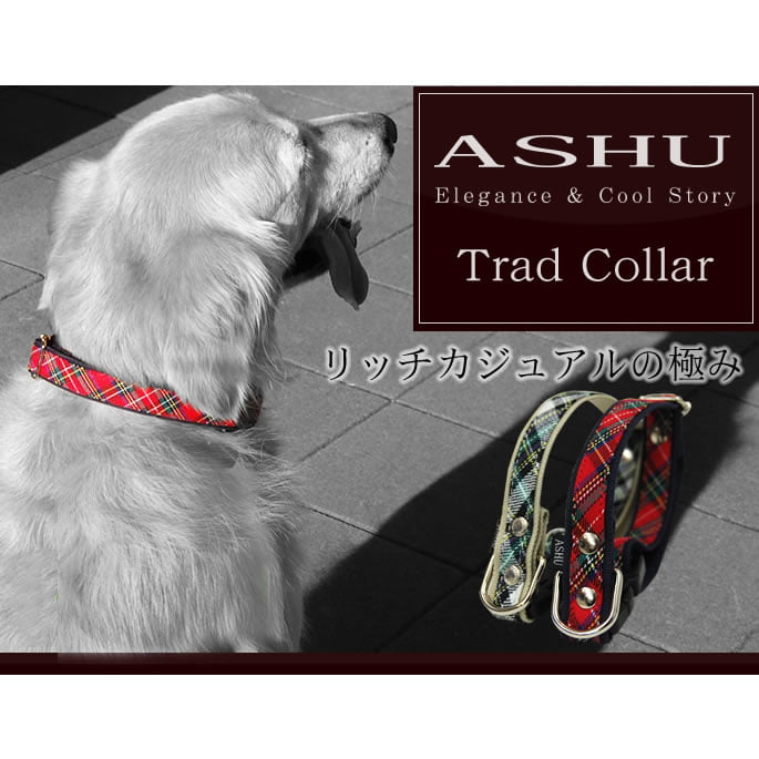 �緿���Ѽ��ء�ASHU���ȥ�åɡ����顼��L��������GR