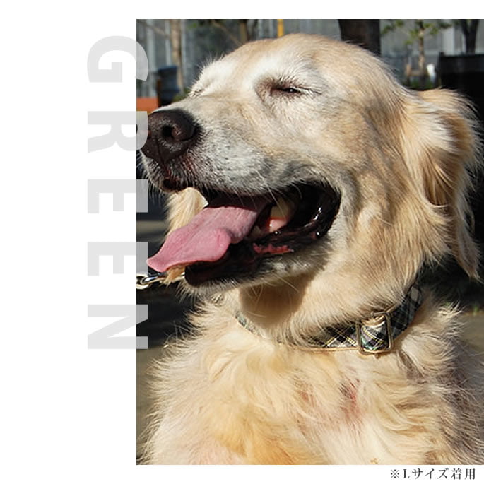 �緿���Ѽ��ء�ASHU���ȥ�åɡ����顼��L��������GR