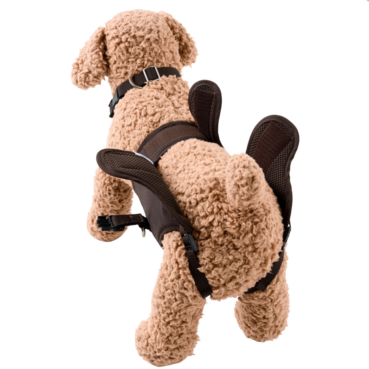 �������ϡ��ͥ� LaLaWalk�������������å����ѡ�����ɥ�ߥ˥����å� M/�̥���������饦������