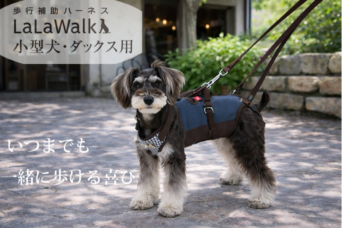 �������ϡ��ͥ� LaLaWalk�������������å����ѡ�����ɥ�ߥ˥����å� M/�̥���������饦������