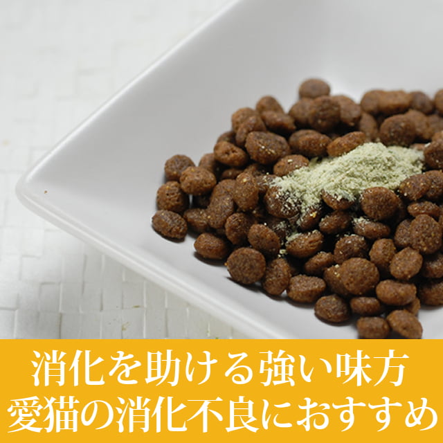 ǭ�� ���꿩��þò����������ĥѥѥ���ʴ��