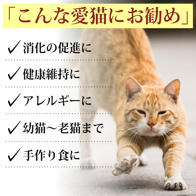 ǭ�� ���꿩��þò����������ĥѥѥ���ʴ��