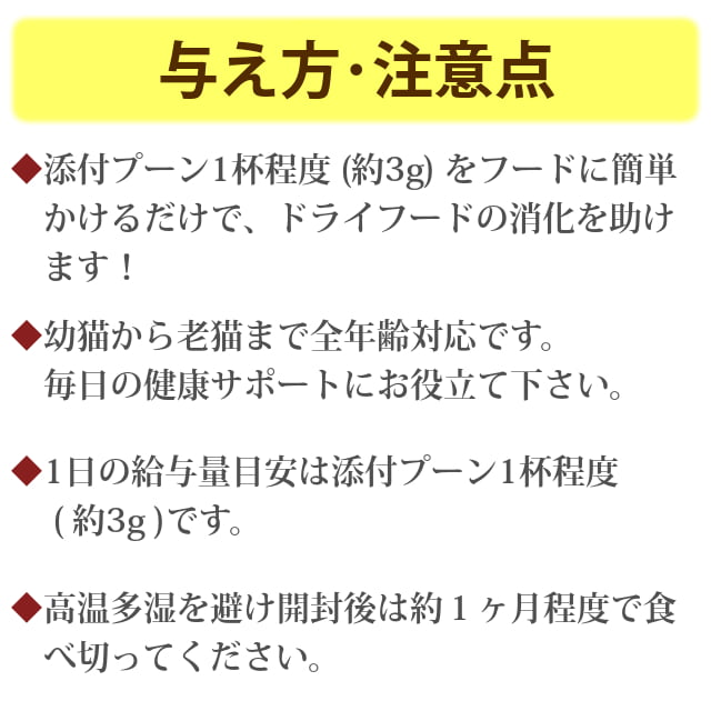 ǭ�� ���꿩��þò����������ĥѥѥ���ʴ��