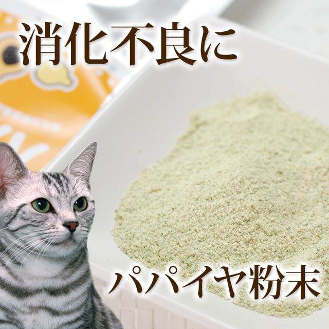 ǭ�� ���꿩��þò����������ĥѥѥ���ʴ��