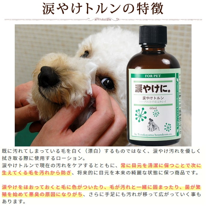 ���������ȥ����ա��ɥ��ץꥻ�å� | �ܸ��η򹯰ݻ��ץ�ߥ���3�����åȡ�a0364��