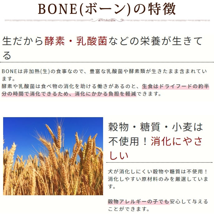 ���������ȥ����ա��ɥ��ץꥻ�å� | �ܸ��η򹯰ݻ��ץ�ߥ���3�����åȡ�a0364��