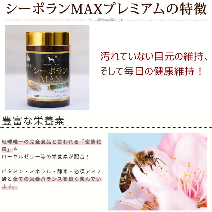 ���������ȥ����ա��ɥ��ץꥻ�å� | �ܸ��η򹯰ݻ��ץ�ߥ���3�����åȡ�a0364��