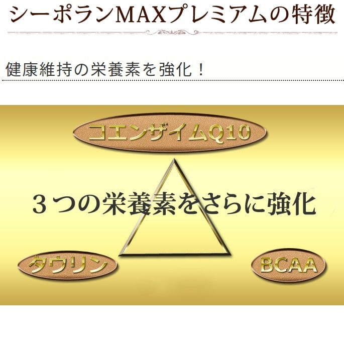 ���������ȥ����ա��ɥ��ץꥻ�å� | �ܸ��η򹯰ݻ��ץ�ߥ���3�����åȡ�a0364��