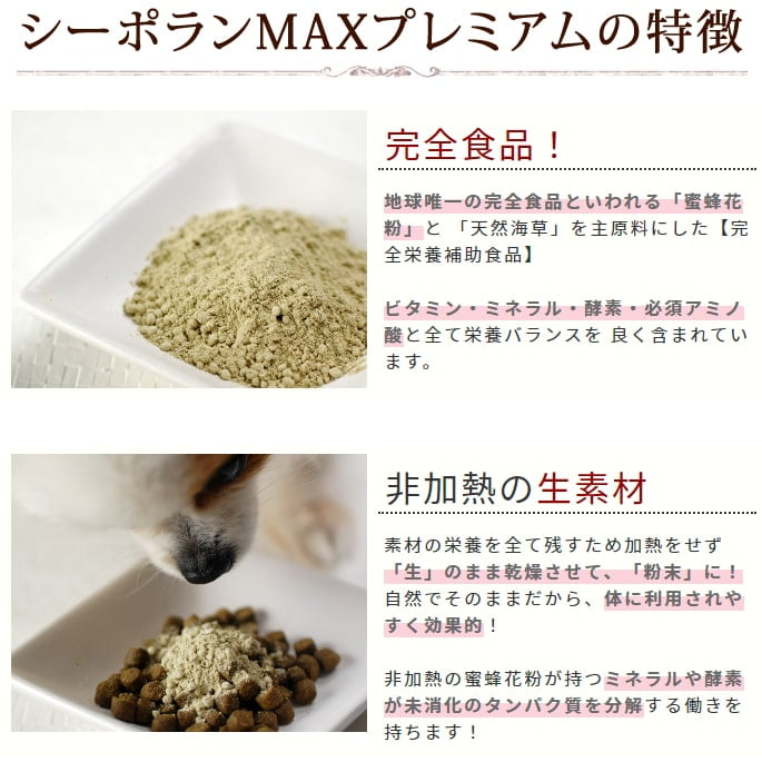 ���������ȥ����ա��ɥ��ץꥻ�å� | �ܸ��η򹯰ݻ��ץ�ߥ���3�����åȡ�a0364��