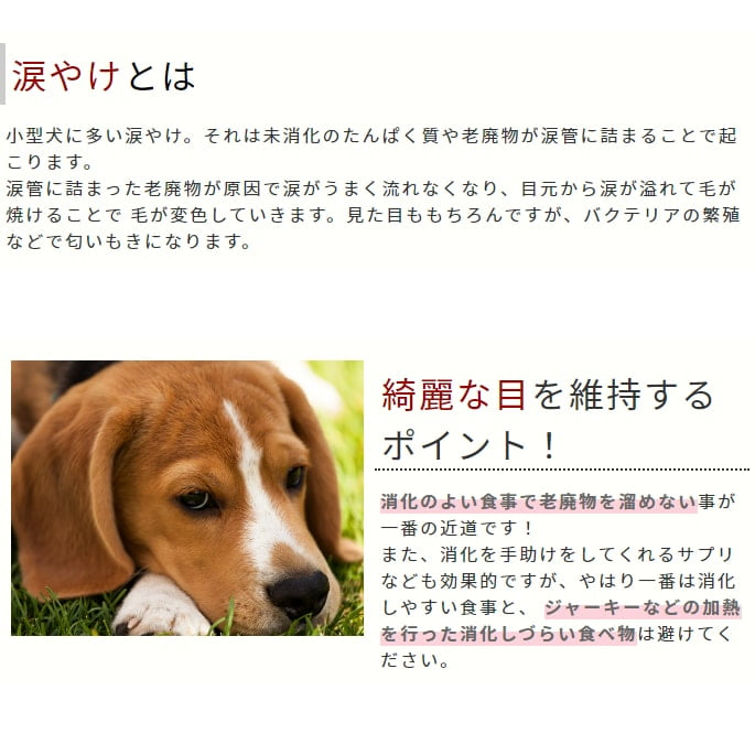 ���������ȥ����ա��ɥ��ץꥻ�å� | �ܸ��η򹯰ݻ��ץ�ߥ���3�����åȡ�a0364��