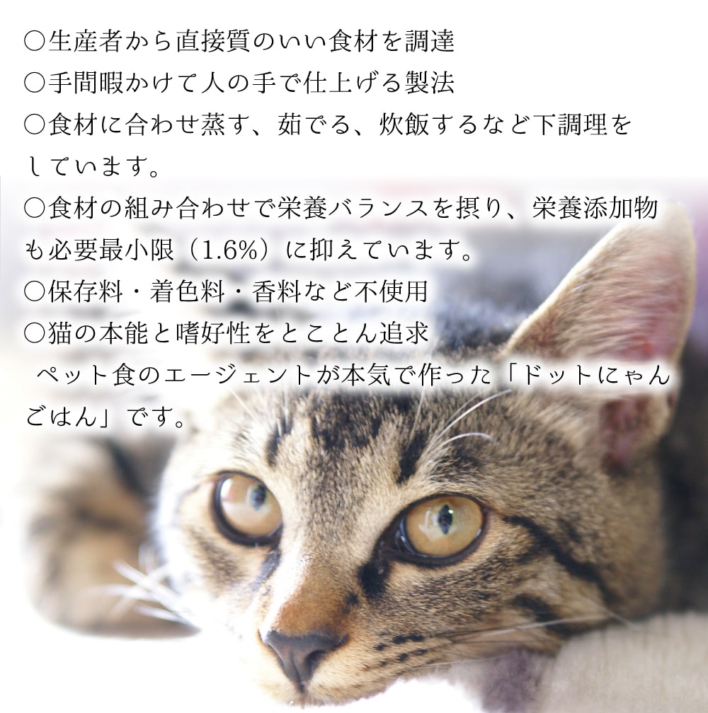 �ɥåȤˤ���ǭ��������ܿ������Ϥ�60g/500g �����륹�ơ�����ǯ���б�