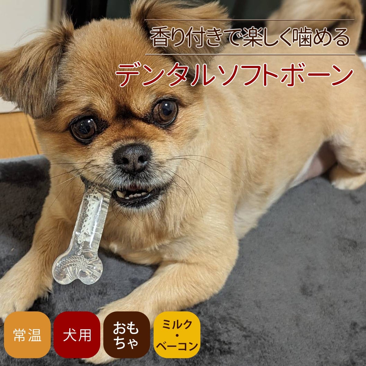 らてぷち 特別限定価格 犬のおもちゃ帝塚山ハウンドカム