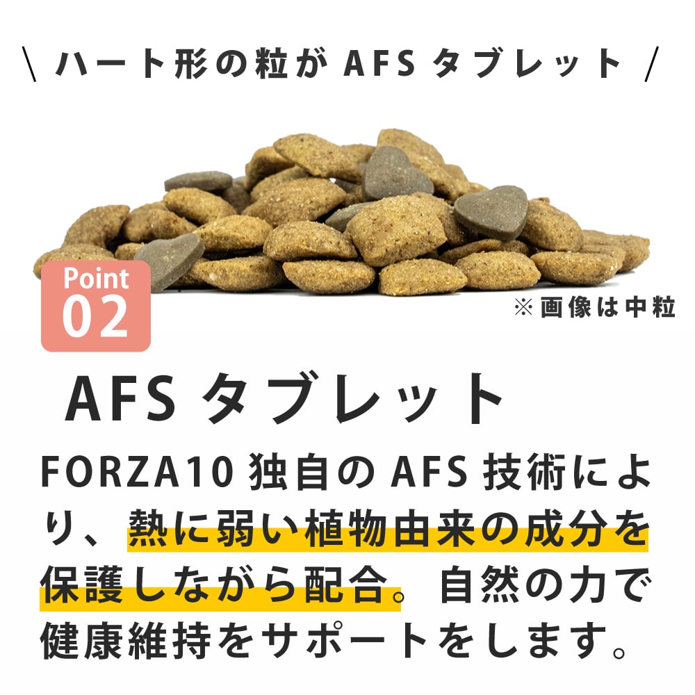 犬 FORZA10療法食｜犬用 エコーアクティブ(耳ケア) 250g / 1.5kg / 4kg