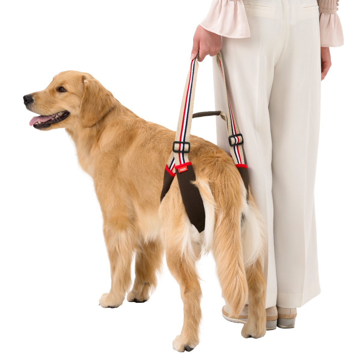 犬用歩行補助ハーネス LaLaWalk 小型犬 ダックス用 サポーターパッド