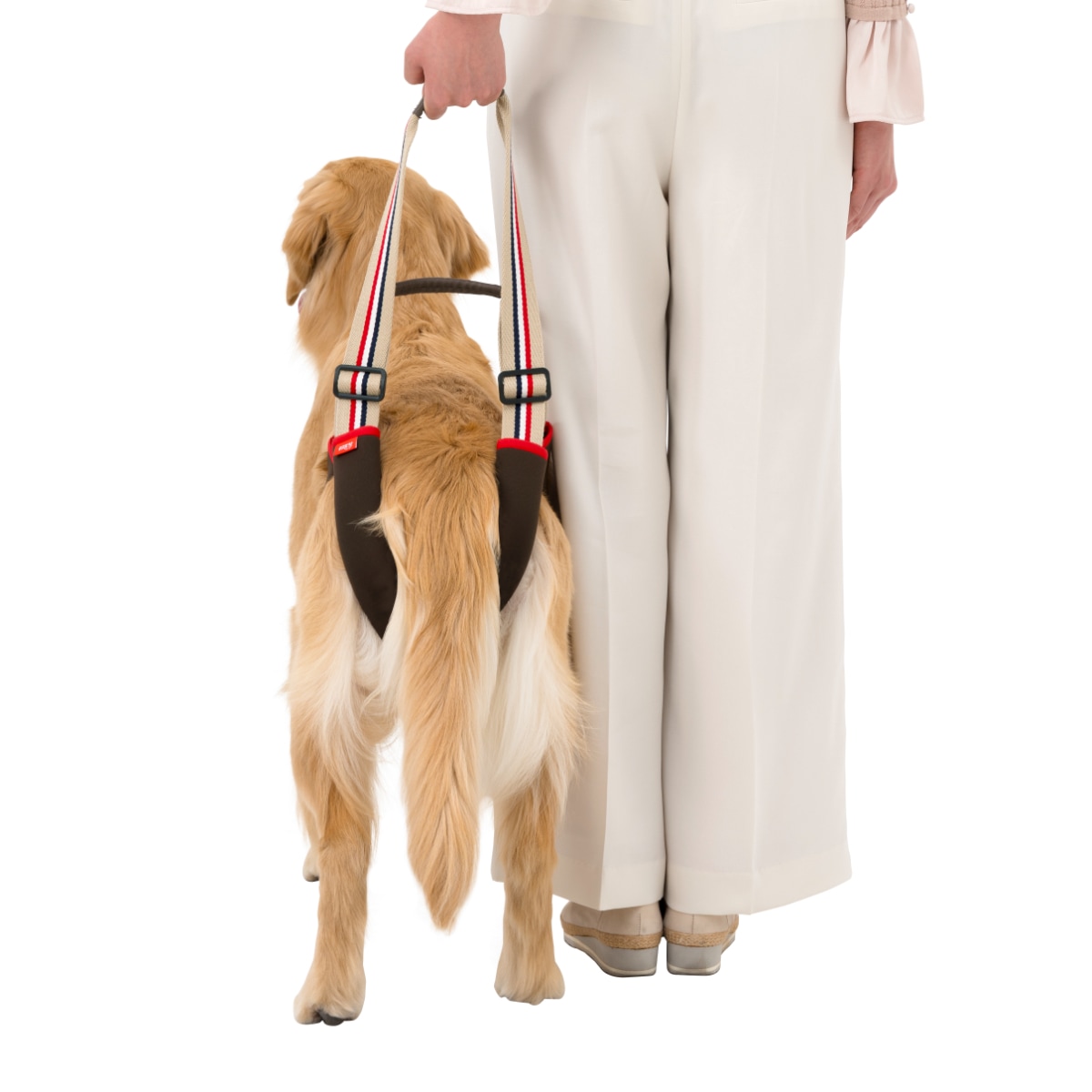 犬用歩行補助ハーネス LaLaWalk 小型犬 ダックス用 サポーターパッド