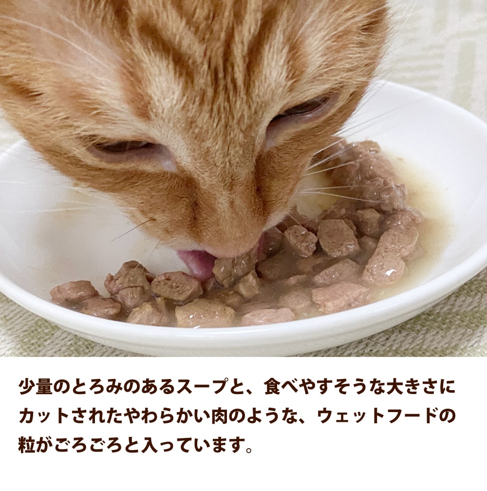 ���˥�����ǭ����ƥ���ץ��ƥ��� pH���� ���ȥ�Х��ȷ��� �ѥ��� 85g �ڷܡۡڵ��ۡ�������ˡ��������åȥա���