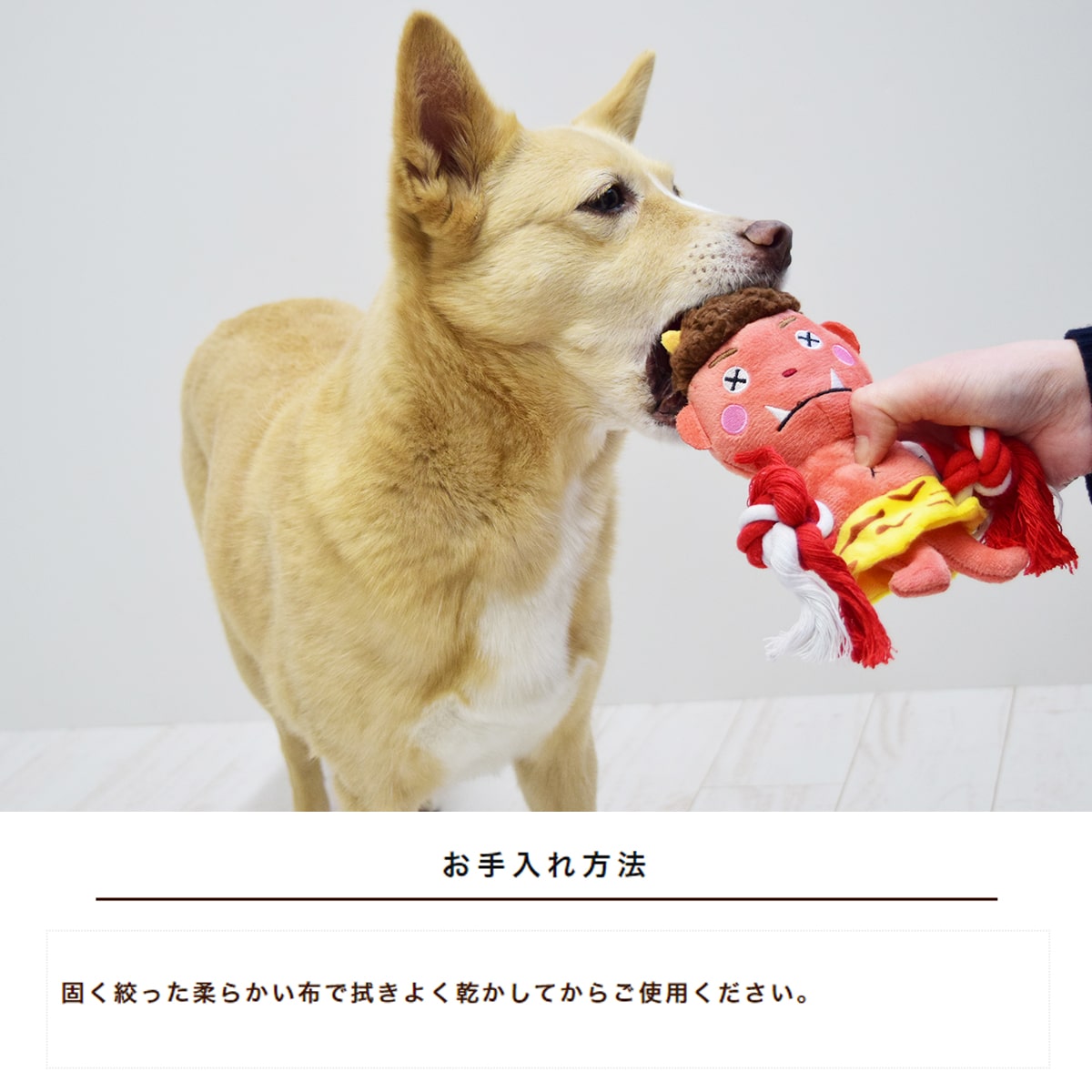 ���Ѥ�����㡡�ץ�å���ȥ� ������������