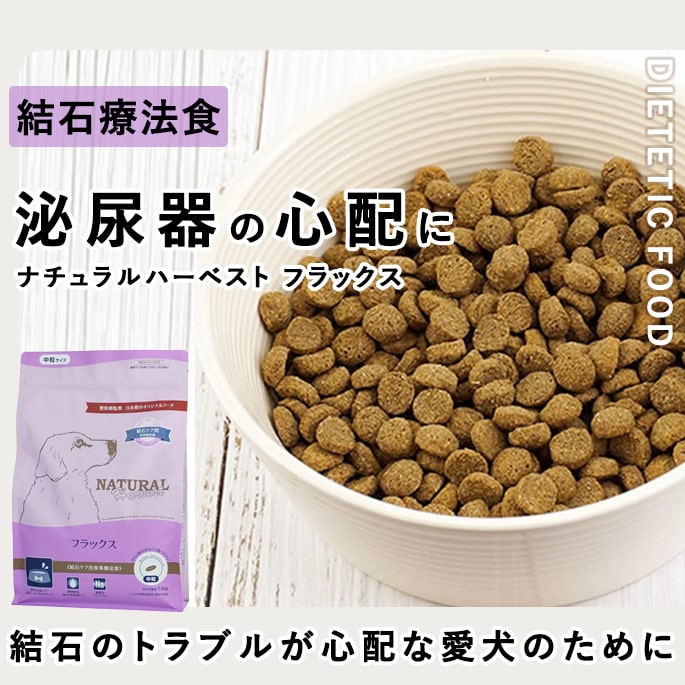 ʥϡ٥ եåˡ1[1.1kg]NEWѥå