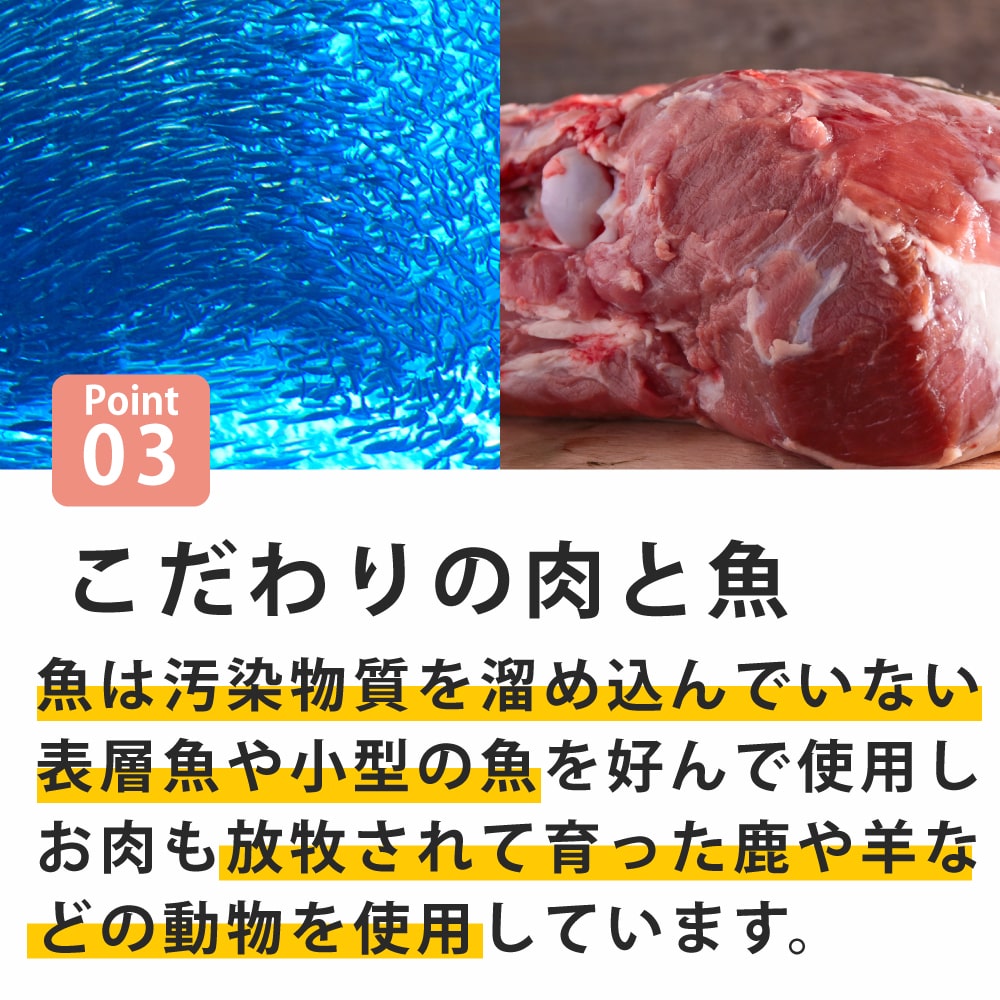 ǭ FORZA10��ˡ���å�ʡ��륢���ƥ���(��¡����)  400g/1.5kg  �ե���ĥ��ǥ����� ����åȥա���