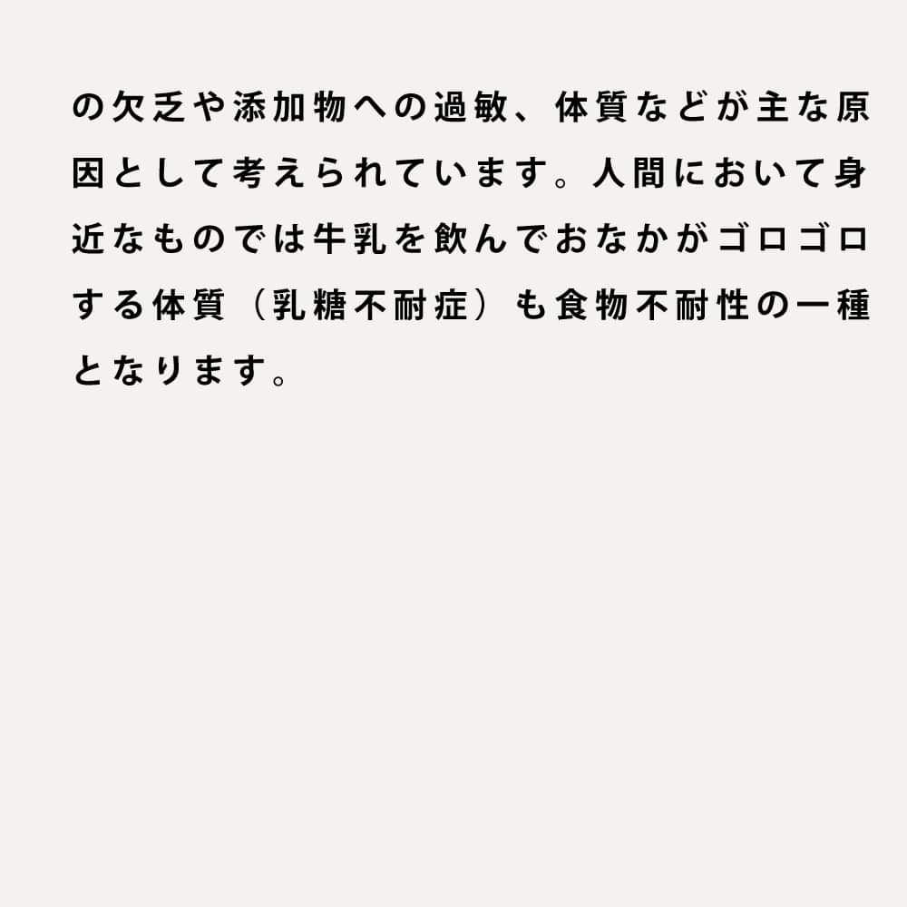 ǭ FORZA10��ˡ���å�ʡ��륢���ƥ���(��¡����)  400g/1.5kg  �ե���ĥ��ǥ����� ����åȥա���