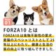 ǭ FORZA10��ˡ���å�ʡ��륢���ƥ���(��¡����)  400g/1.5kg  �ե���ĥ��ǥ����� ����åȥա���