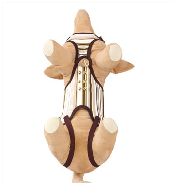 ϡͥ LaLaWalkåѡݡѥåդ