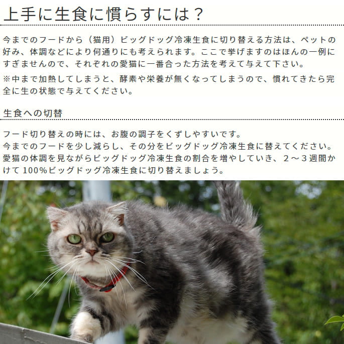 ǭ�� ������ǭ�ѥӥå��ɥå� ���������ڥ��󥬥롼��1.38kg(115g12����) ����äΥ��󥬥롼����