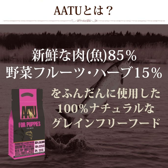 ڽ̵AATUʥȥ˥ѥԡ   ɥåա 1.5kg 