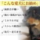 �ڥ����ॻ����10��OFF�۸��� �����å������� ���Ф�� �ǥ󥿥륱���ˤ��a0034�ۡ�2025ts_g12��