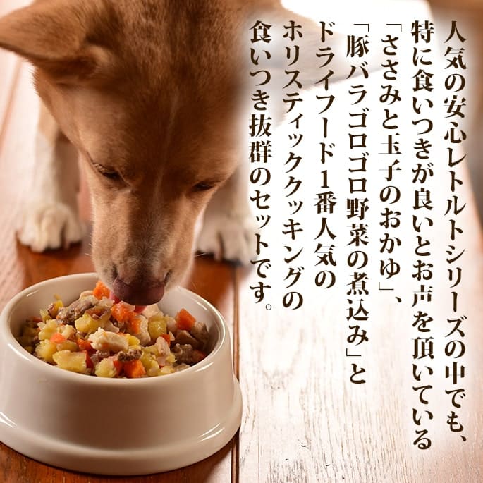 �����ѥա��ɥ��åȡ������Ĥ�ȴ����ȥ�Ȥȥۥꥹ�ƥ��å����å��󥰥��å�