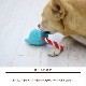 ���Ѥ�����㡡�ץ�å���ȥ� ������������ ���