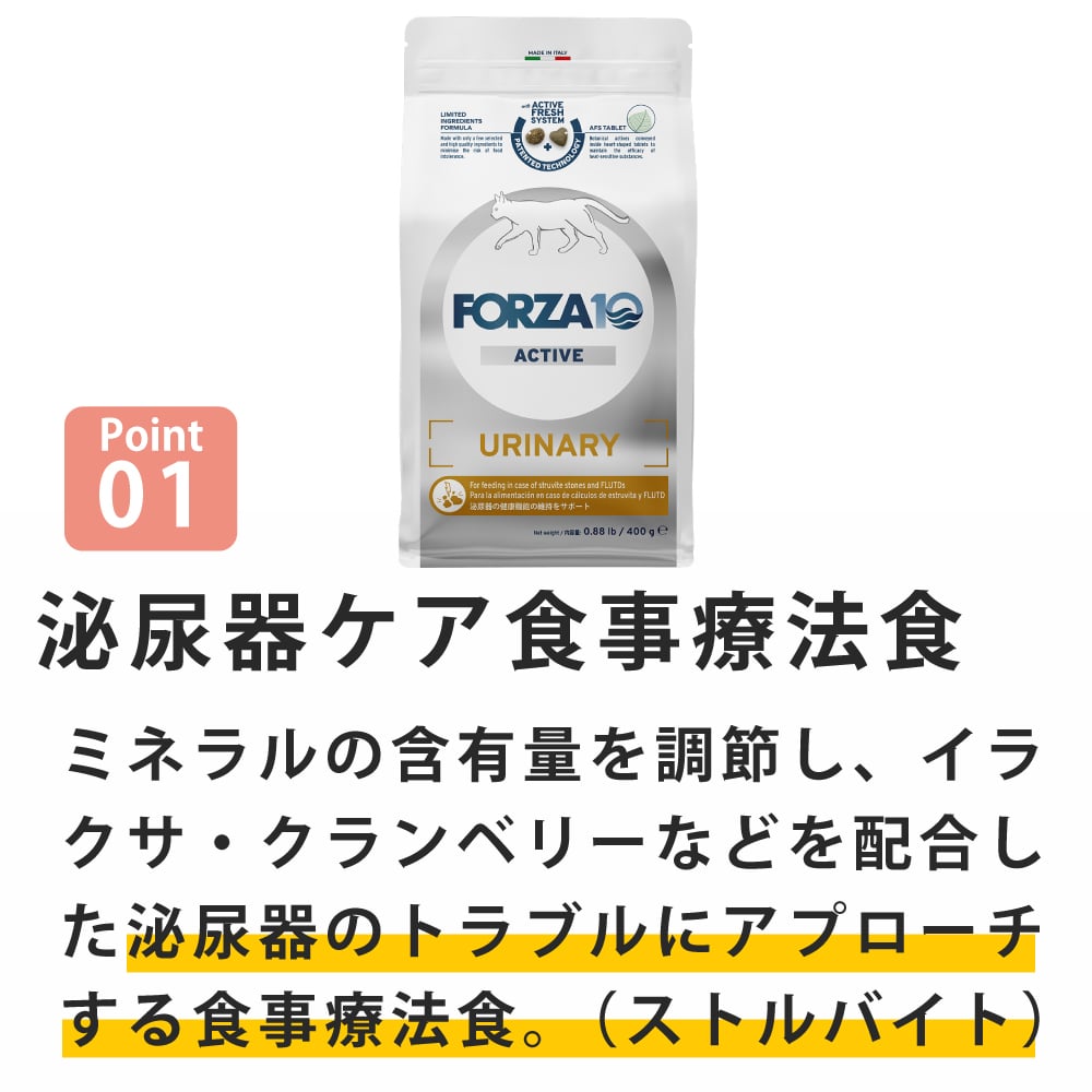 ǭ FORZA10��ˡ���å���ʥ꡼�����ƥ���(���ȥ�Х��ȷ��Х���)  400g/1.5kg  �ե���ĥ��ǥ����� ����åȥա��ɡ���1.5kg�Ϥ����󤻸�ȯ���ʤ��Ϥ��ޤ�1�������١�