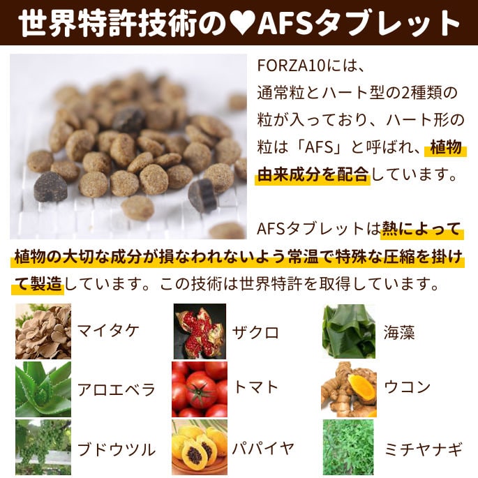 FORZA10ˡåǥ꡼٥(ȱ֥) 2kg(եĥǥ)a0350ۥɥåա