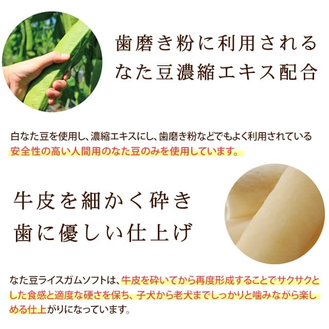 ѤġäʤƦ饤ॽե 餫ΥǻҸϷޤ