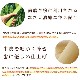 ���Ѥ���ġäʤ�Ʀ�饤�����ॽ�ե� 5�ޥ��å� ����� ���餫��Υ���ǻҸ�����Ϸ���ޤ�