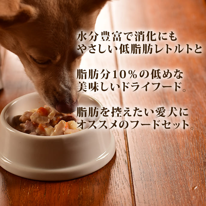 ѥաɥåȡåȥȤȥۥꥹƥåå󥰥å