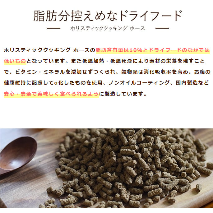 ѥաɥåȡåȥȤȥۥꥹƥåå󥰥å