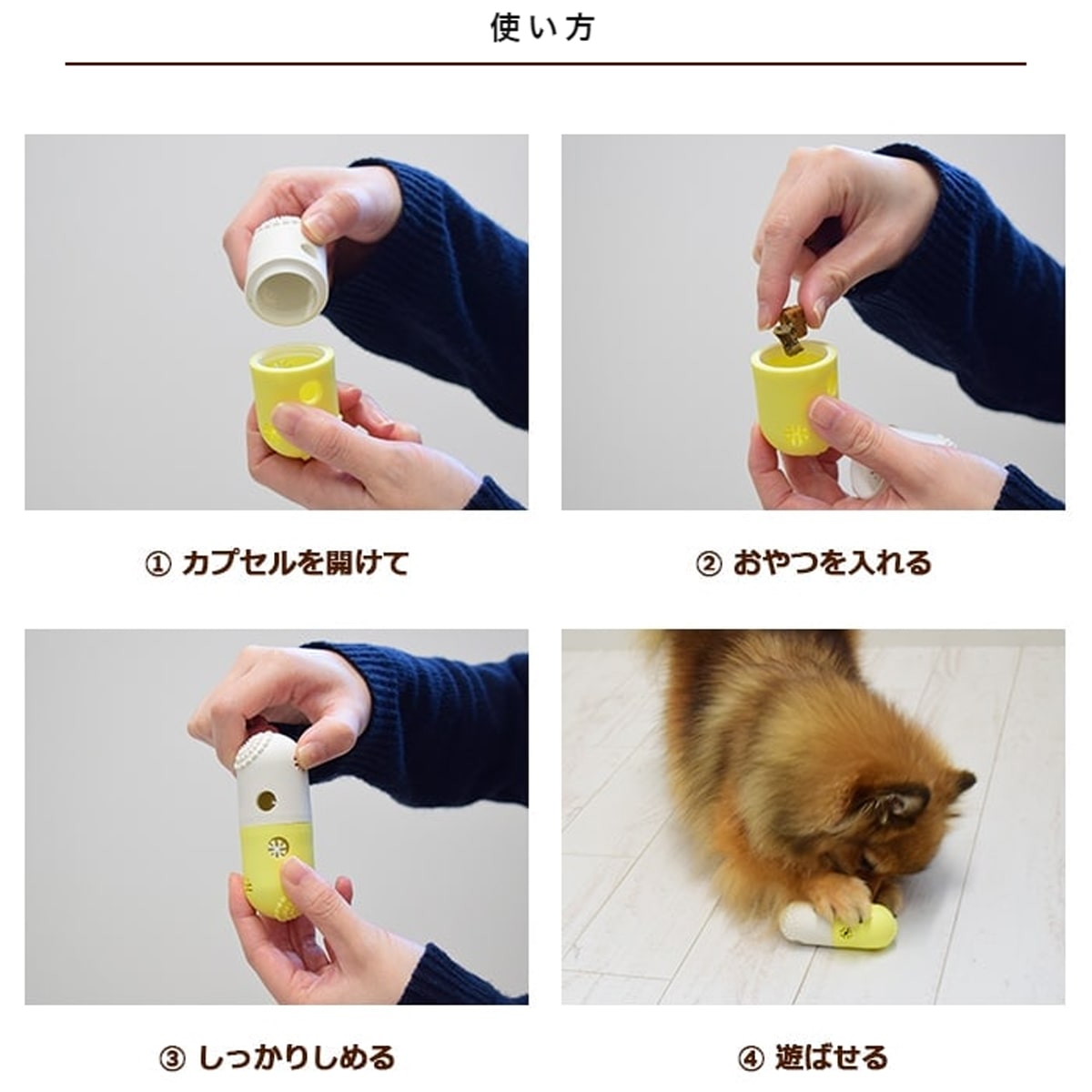 期間限定セール！TIMMY REGISFORD SHELTER 8枚セット 楽天市場】[2サイズ] EASY ペットカート フォールディング 犬用