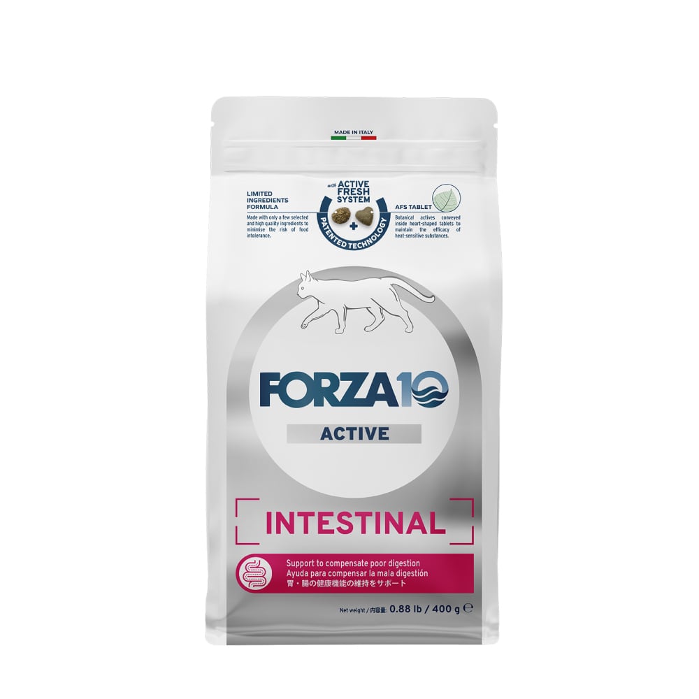 ǭ FORZA10��ˡ���å���ƥ��ƥ��ʥ륢���ƥ���(��Ĳ����)  400g/1.5kg  �ե���ĥ��ǥ����� ����åȥա��ɡ���1.5kg�Ϥ����󤻸�ȯ���ʤ��Ϥ��ޤ�1�������١�