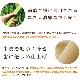 ���Ѥ���ġäʤ�Ʀ�饤�����ॽ�ե� 10�ޥ��åȡ�1�� ����� ���餫��Υ���ǻҸ�����Ϸ���ޤ�